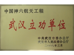武汉市委、市人民政府表彰